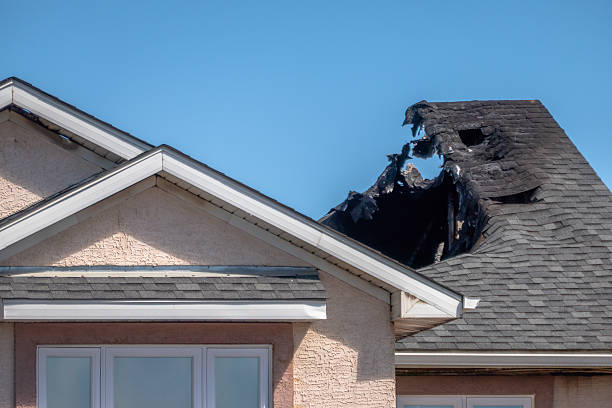Top rated local Odor Removal specialists in Nokomis, FL